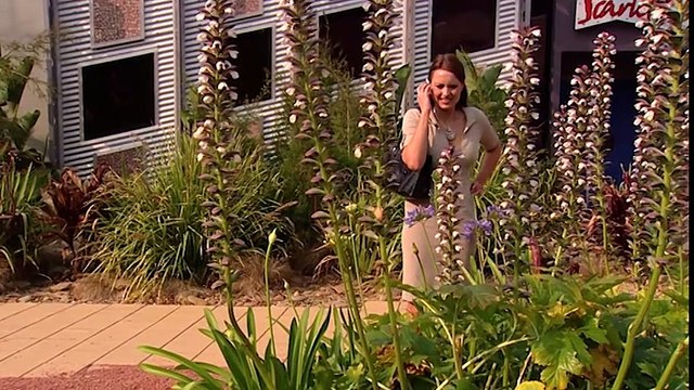 Neighbours Episode 5210