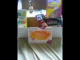 Influenster Sun Kissed Vox Box