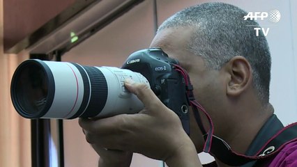 Farc e Governo colombiano prontos para ajustes