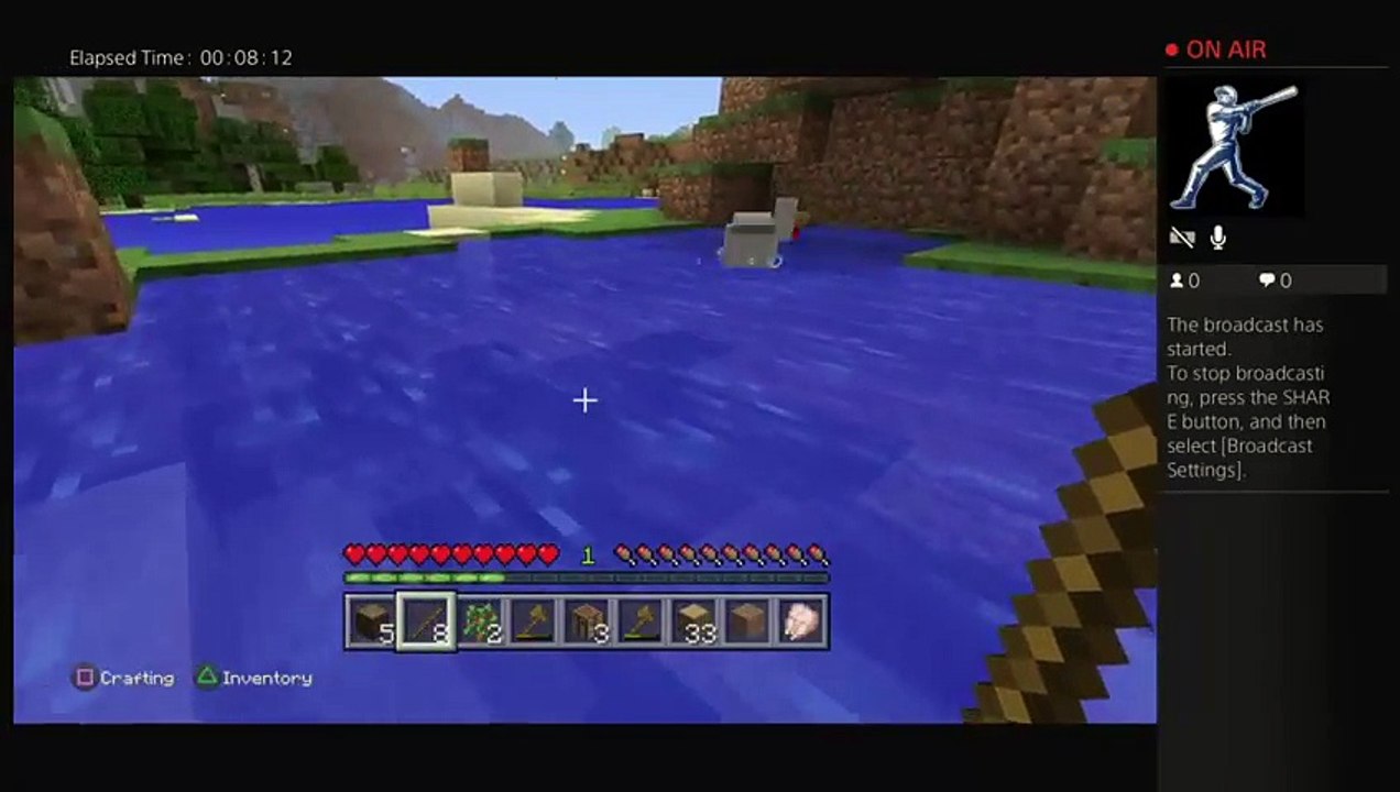 Minecraft (17)