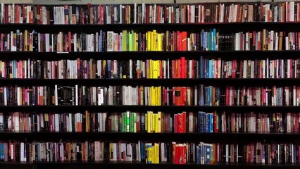 FOULOSOPHES! #1 - Si t'es moche et seul, c'est fichu!