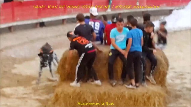 SAINT JEAN DE VEDAS-Toro Piscine/Mousse-2016/06/25-VC-Taureaux