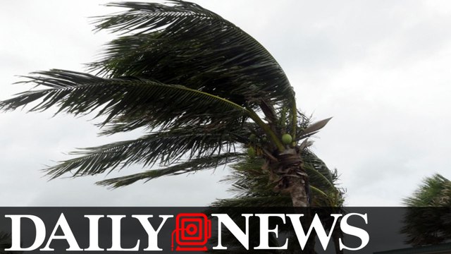 Florida Reports First Hurricane Matthew Related Death