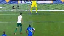 Goal Alexandrov. France 0 - 1 Bulgaria