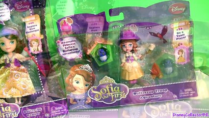 Sofia the First Buttercup Badges Play Doh Sofias Buttercup Troop Adventures Disney Princess