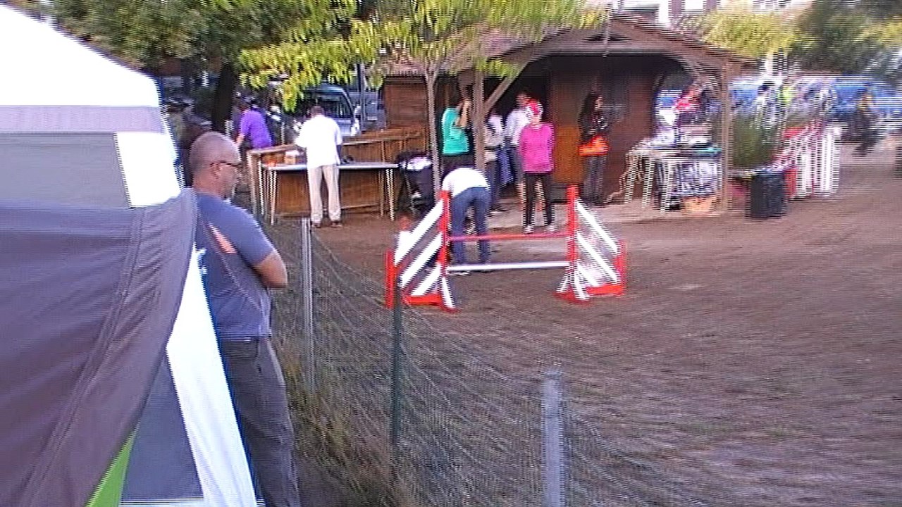 Agility Ollioules 2016