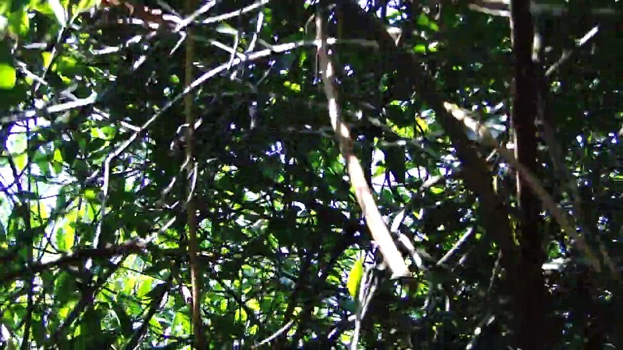 mexico vacations off the beaten path