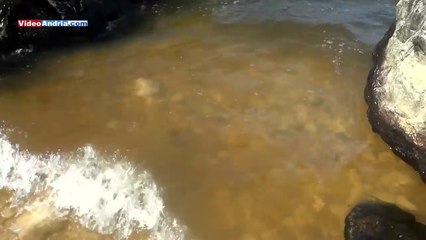 Bisceglie - Molfetta: reportage su Condotta sottomarina e trivelle