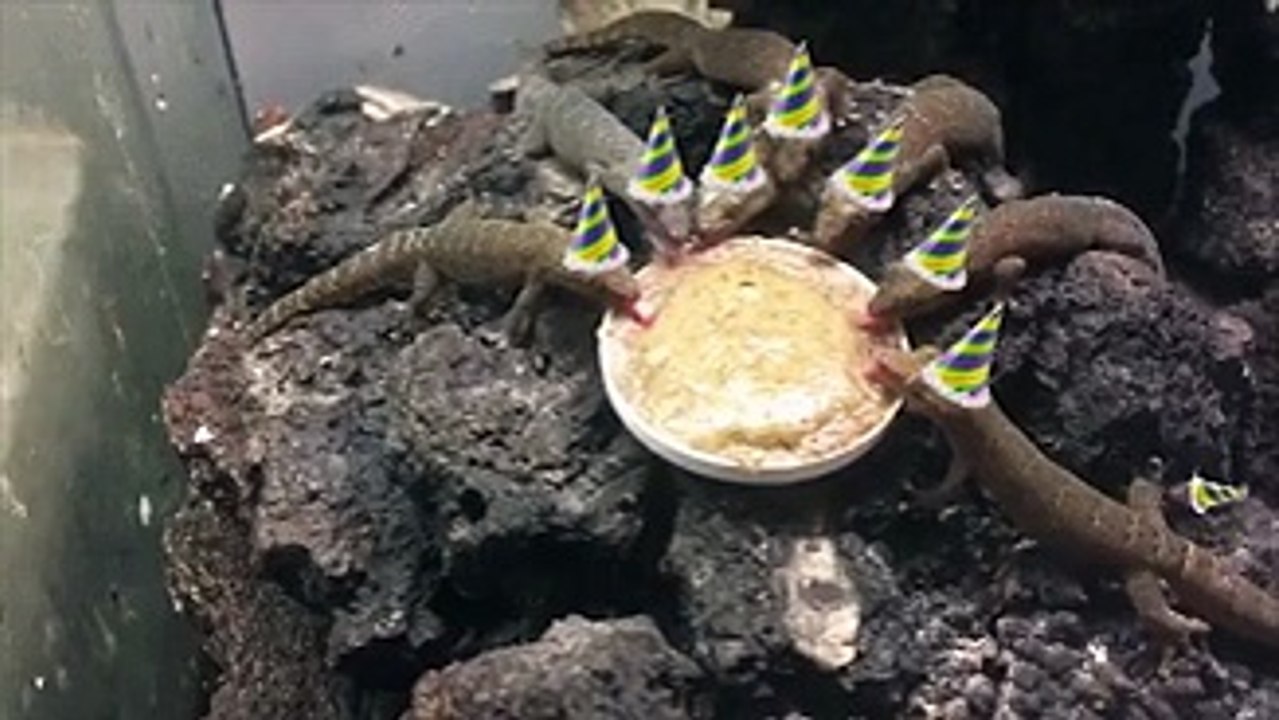 Piiiiii