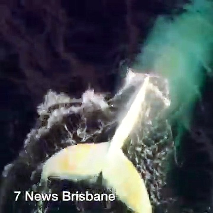 Live In Australia (9)
