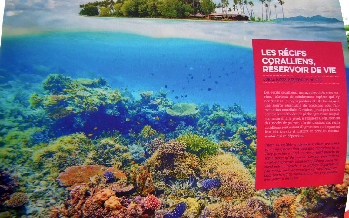 Expédition TARA dans le pacific