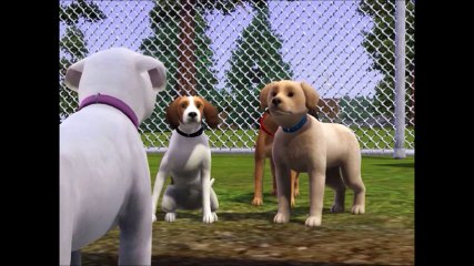 Puppy Pals Season 1 Episode 3- Makeover All Over/My Kitten