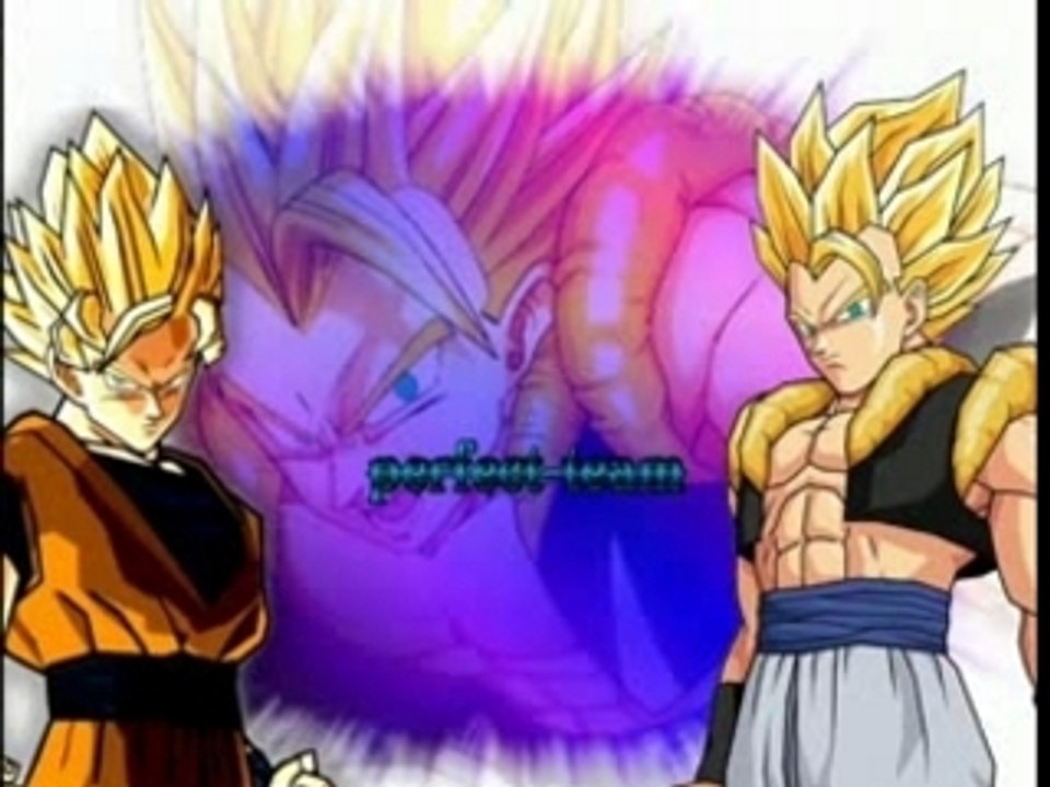 Présentation pour la Perfect team