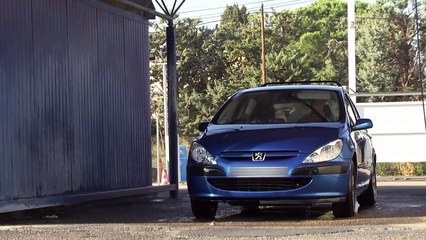 Broma de la paloma gigante provoca la ira de conductores en Brasil