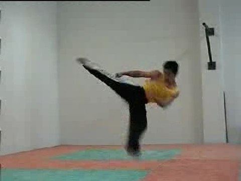 Arts martiaux artistiques