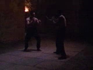 Wing Chun: The Art of Close Combat 🥋