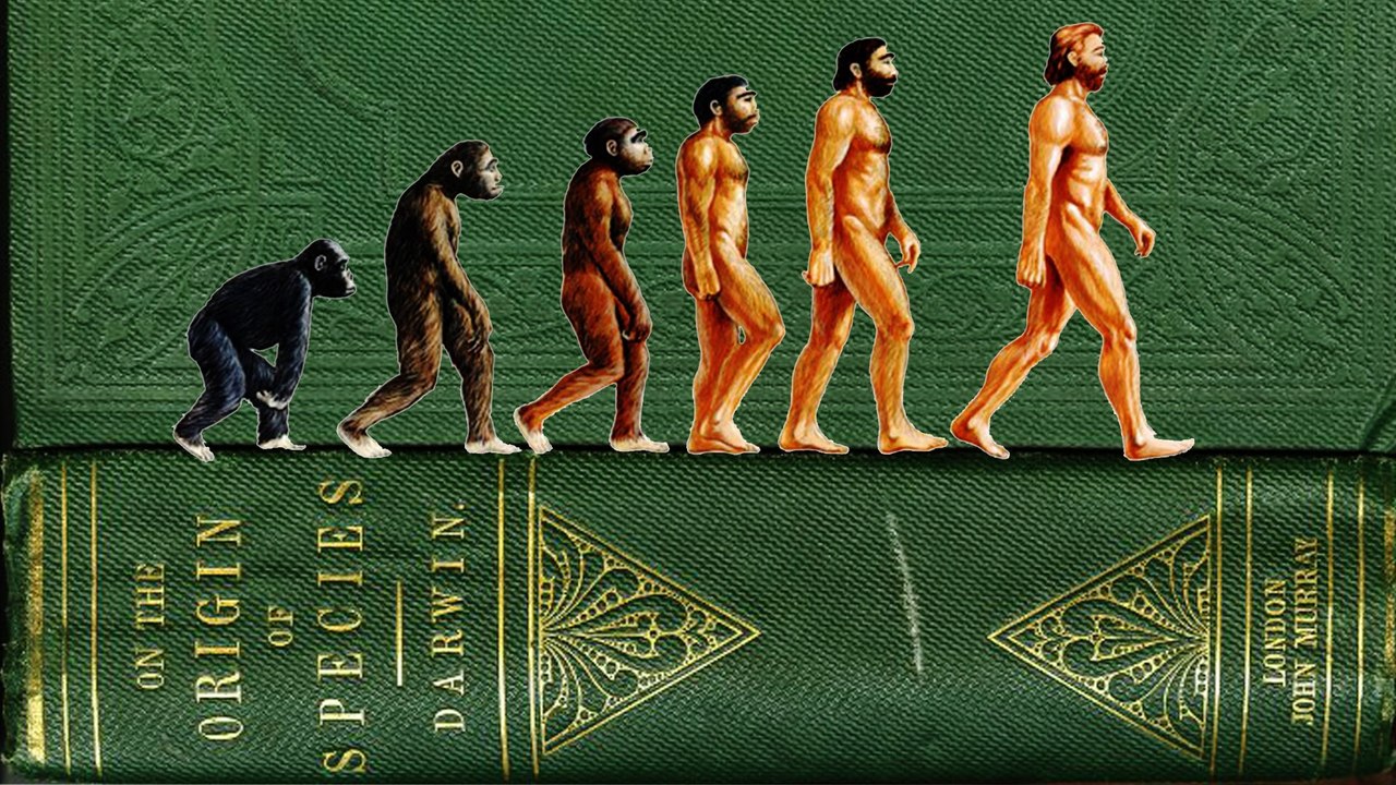 100 Reasons Why Evolution Is Stupid by Dr. Kent Hovind - Part 1 of 2