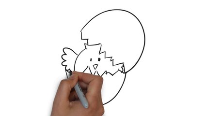 Easy Step For Kids How To Draw a Chicken Eggs Hatch