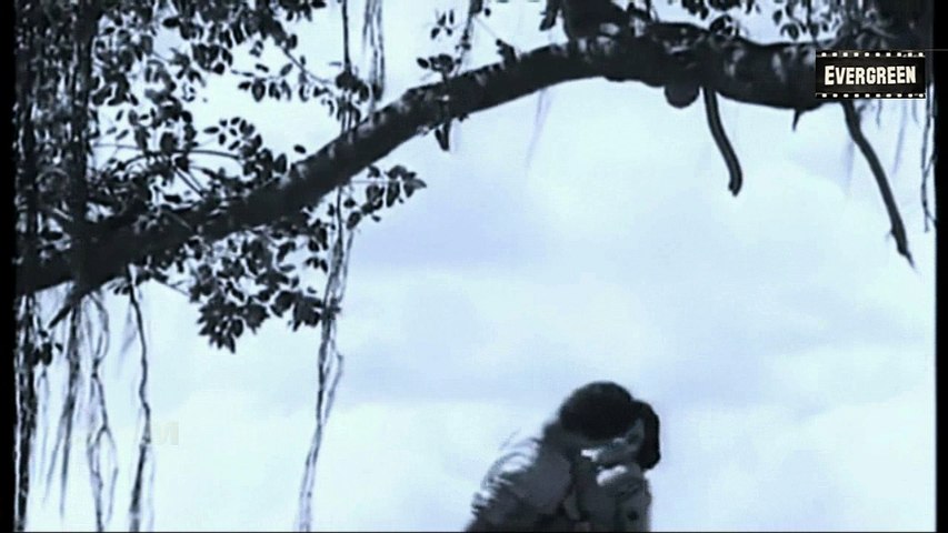 Akkara pachayile....K J Yesudas,  P. Leela