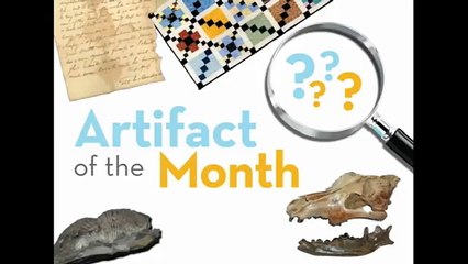 You never imagine what is it worth this tool