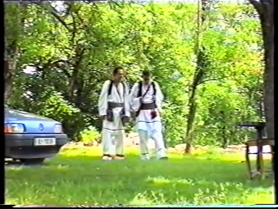 Slaven i Nemanja -- tudjina me zove...