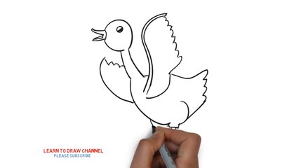 Easy Step For Kids How To Draw a Chick Part 2