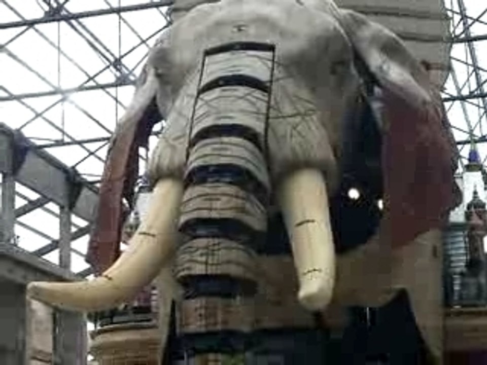 royal deluxe elephant a nantes