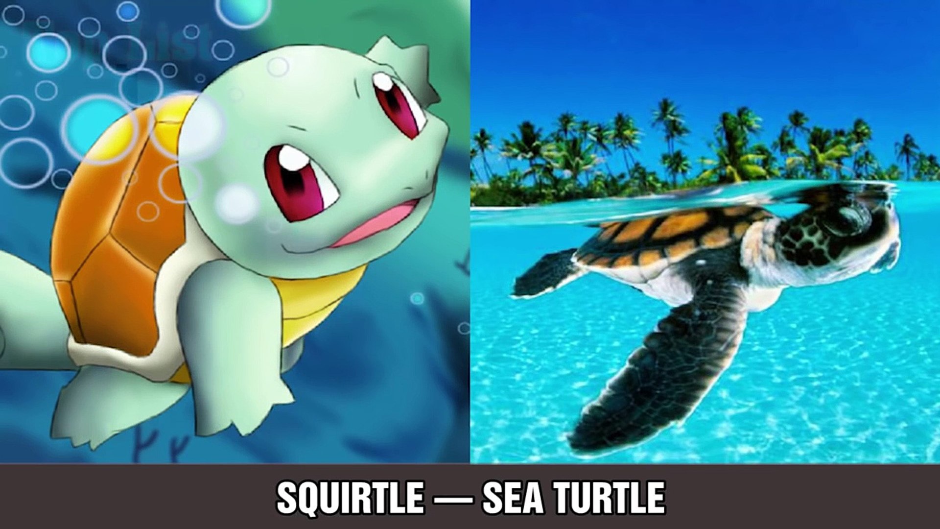 30 Pokemon That Actually Exist in Real Lif