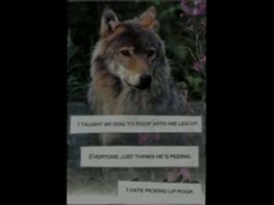 Placebo - sleeping with ghosts (post secret video)