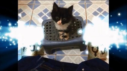 [Vietsub - BL] Tạm biệt X tiên sinh - Goodbye Mr.X (Tập 3)