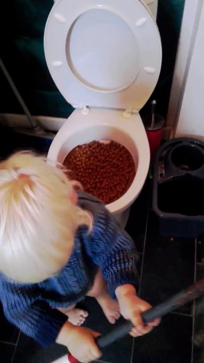 La grosse bétise de ce gamin qui a rempli les toilettes de croquettes pour chien