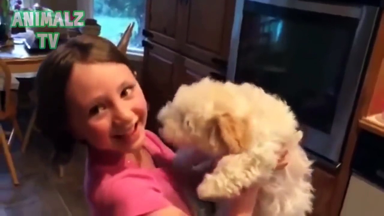 Funny animals will make you burst into laughter part 2