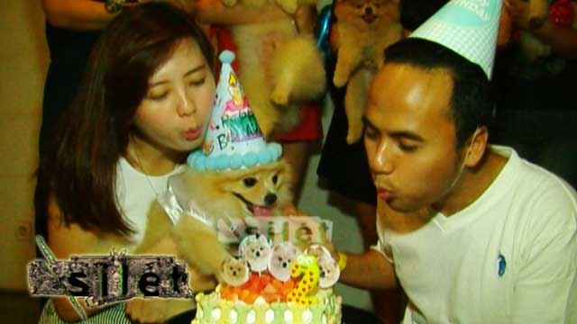 Milyarder Muda Rayakan Ultah Unik Untuk Anjingnya - Silet 08 Oktober 2016