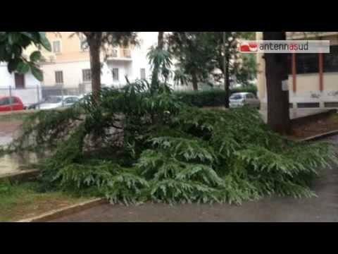 TG antennasud 7.10.2016 Maltempo in Puglia. Tromba d'aria a Brindisi