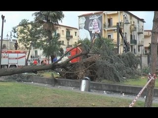 Frattaminore (NA) - Tromba d'aria, crollano alberi e coperture (07.10.16)