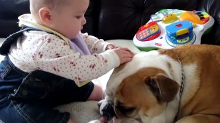 Baby Bites Bulldog