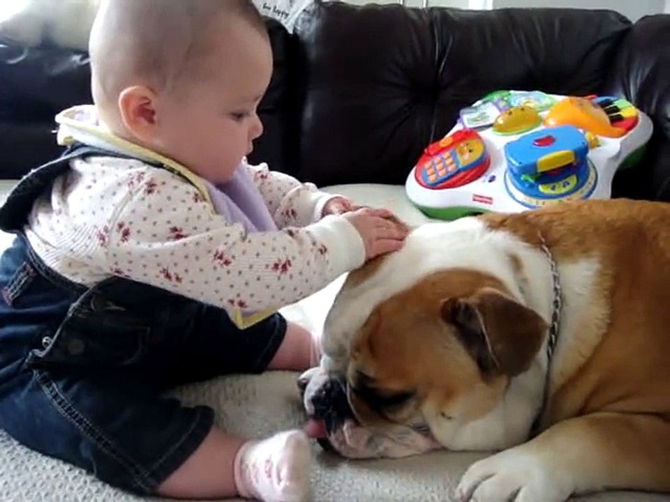 Baby Bites Bulldog