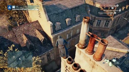 Assassins Creed Unity (49)