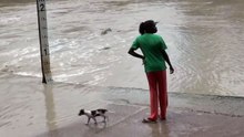 Elle se sert d'une tong pour repousser un crocodile !