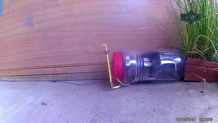 Best Homemade Mouse Traps Ever!