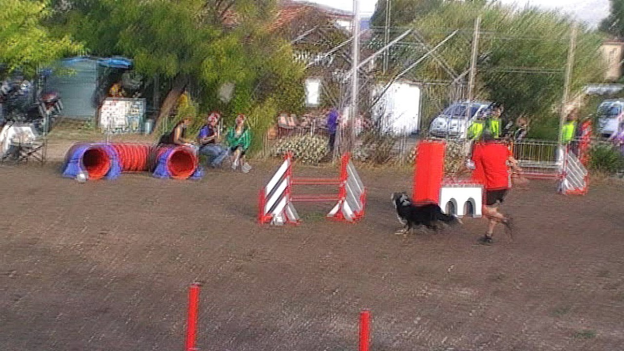 Agility Ollioules 2016