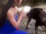 Smart dog fall in love beautiful girl - funny dog videos try not to laugh
