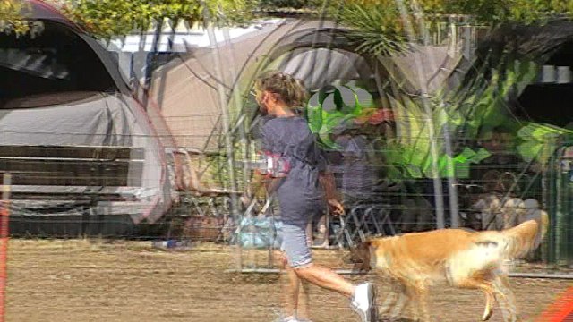 Agility Ollioules 2016