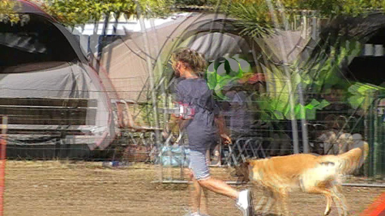 Agility Ollioules 2016