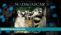 Big Deals  Madagascar Safari Companion (Safari Companions)  Full Read Best Seller