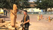 La foire de Saint-Lô 2016