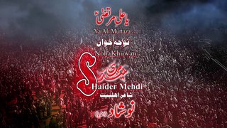 Ya Ali Murtaza as S Haider Mehdi 2016-17