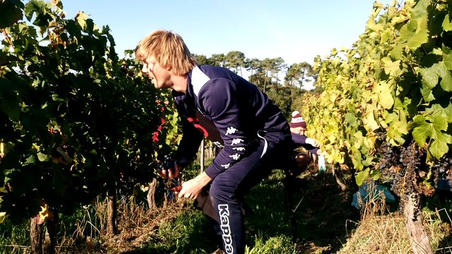Vendanges UBB côtes de Bourg 2016 1/3