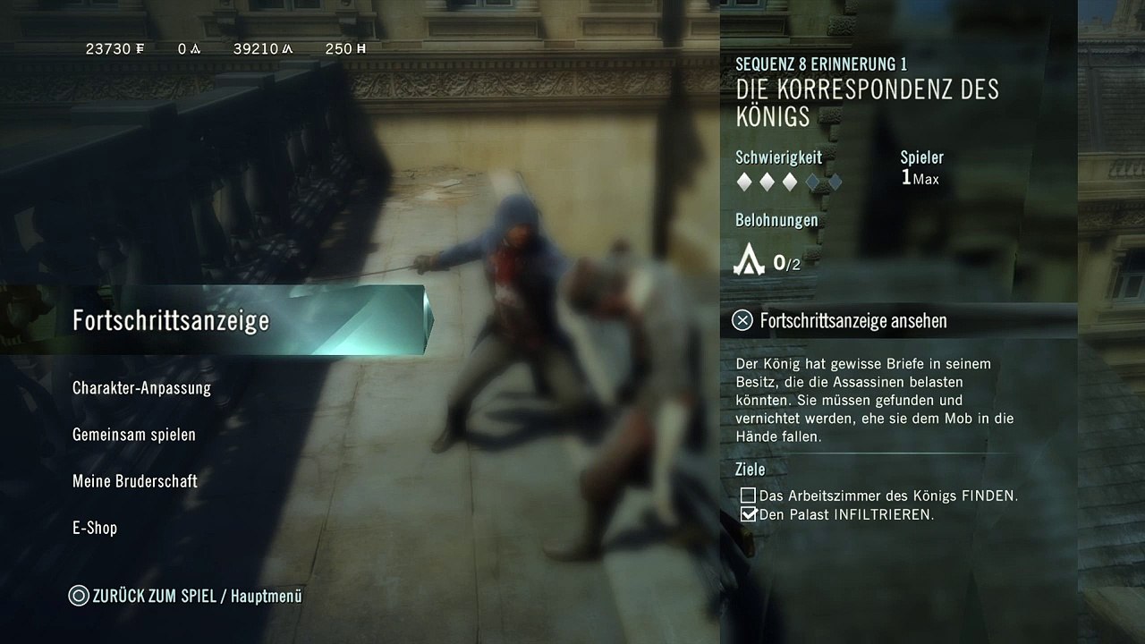 Assassins Creed Unity (57)