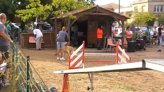 Agility Ollioules 2016